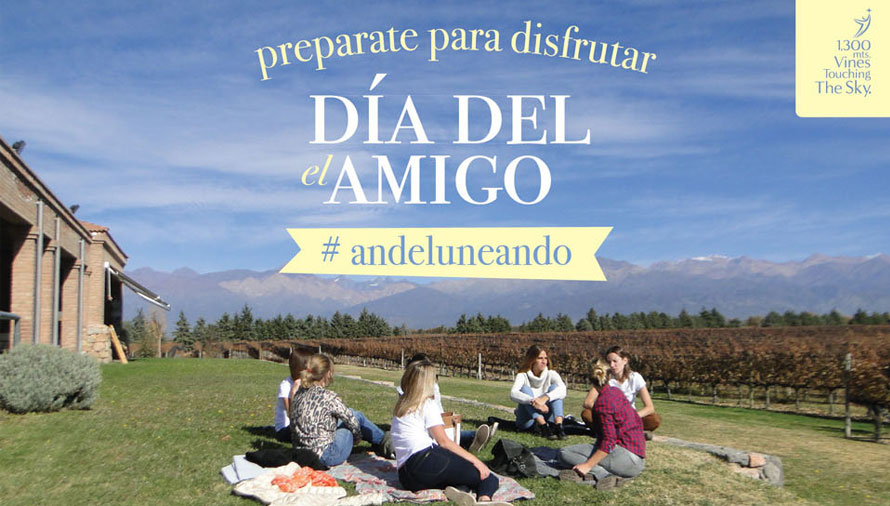amigo