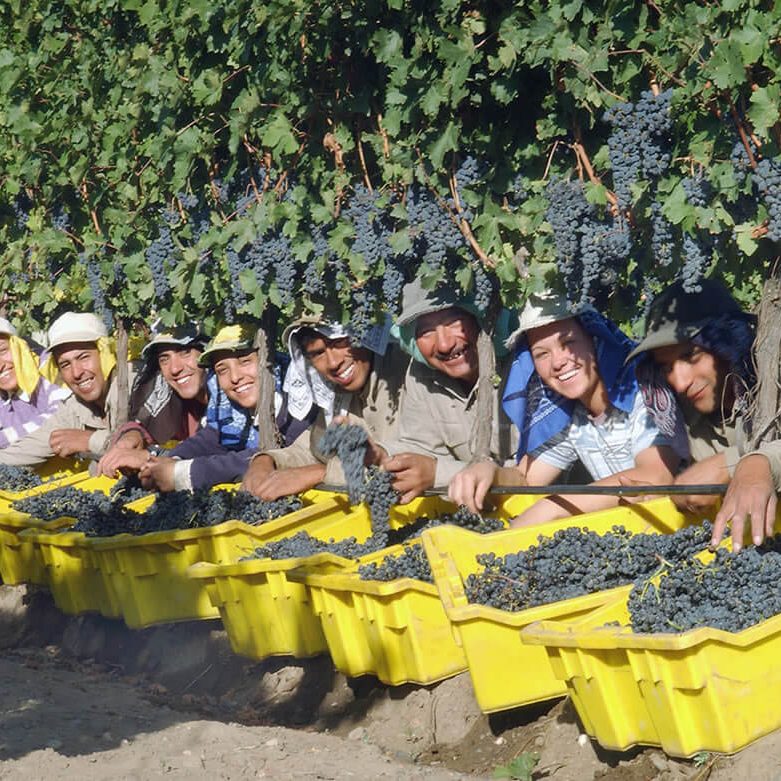 andeluna-cosechadores