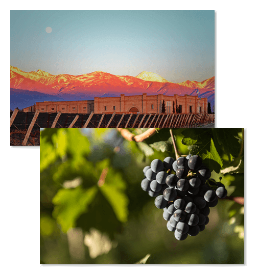 andeluna-bodega-mendoza