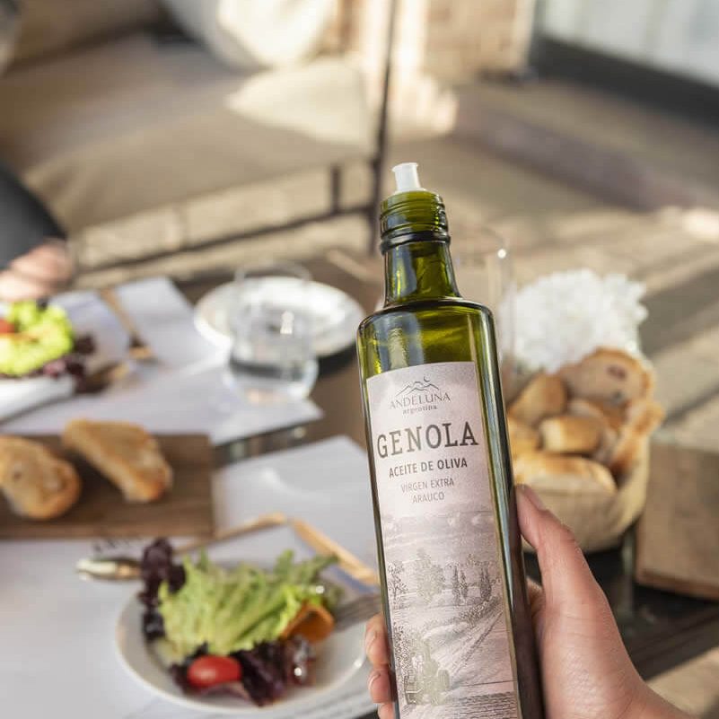 vino-andeluna-aceite