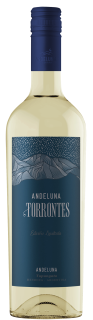 andeluna_torrontes_conica_sin_cosecha cap azul