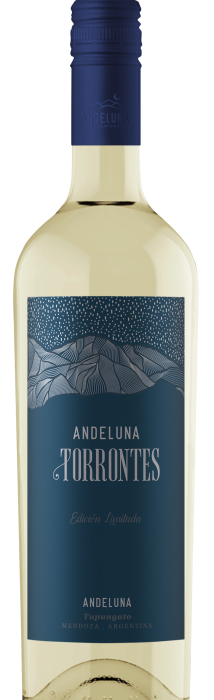 andeluna_torrontes_conica_sin_cosecha cap azul